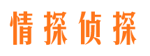 江汉外遇出轨调查取证